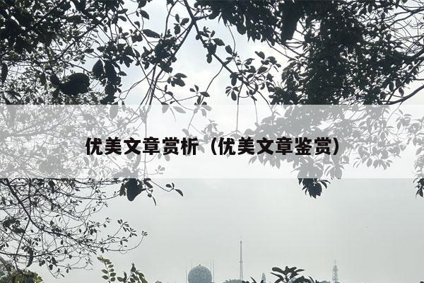 优美文章赏析（优美文章鉴赏）