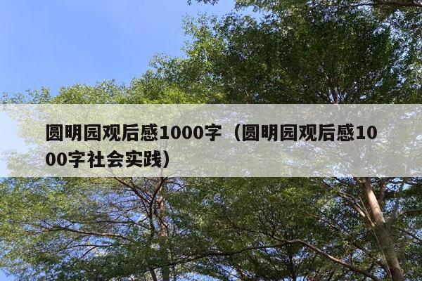 圆明园观后感1000字（圆明园观后感1000字社会实践）