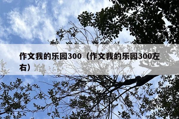 作文我的乐园300（作文我的乐园300左右）