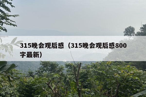 315晚会观后感（315晚会观后感800字最新）