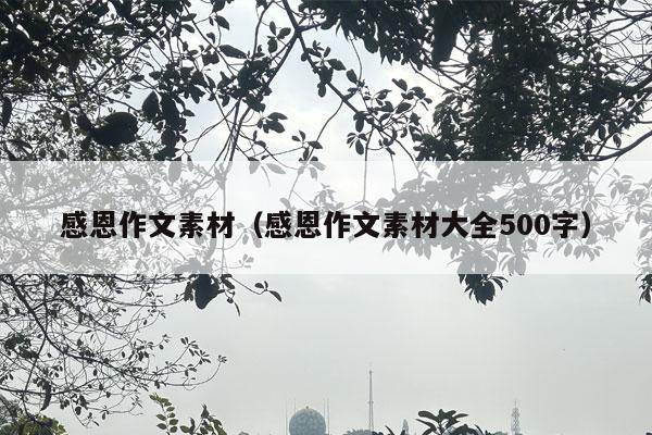 感恩作文素材（感恩作文素材大全500字）