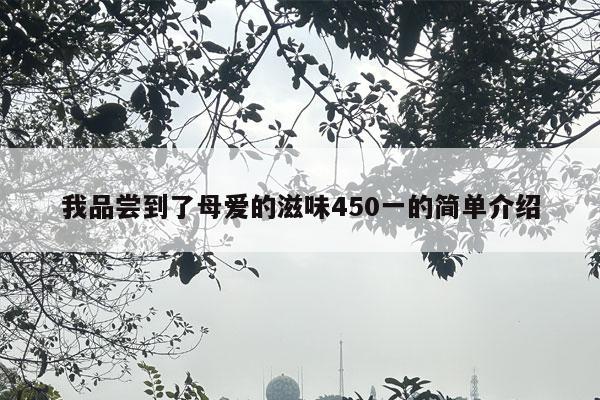 我品尝到了母爱的滋味450一的简单介绍