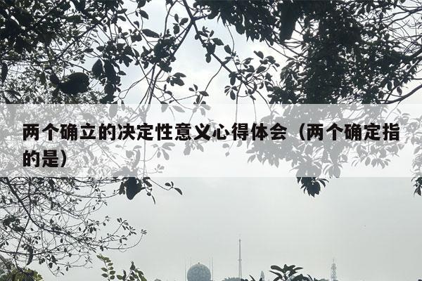 两个确立的决定性意义心得体会（两个确定指的是）