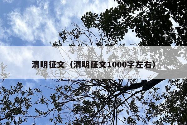 清明征文（清明征文1000字左右）