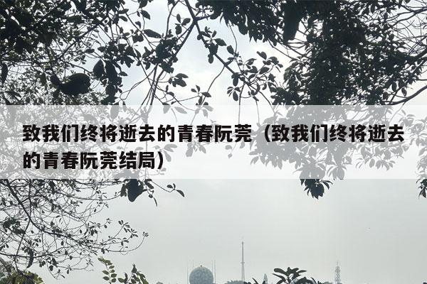 致我们终将逝去的青春阮莞（致我们终将逝去的青春阮莞结局）