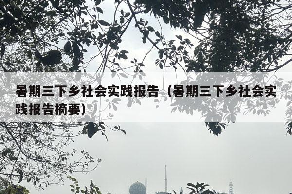 暑期三下乡社会实践报告（暑期三下乡社会实践报告摘要）