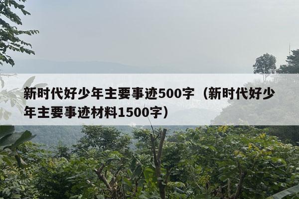 新时代好少年主要事迹500字（新时代好少年主要事迹材料1500字）