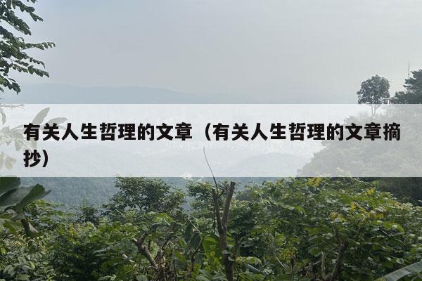 有关人生哲理的文章（有关人生哲理的文章摘抄）