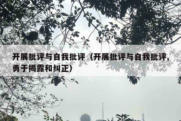 开展批评与自我批评（开展批评与自我批评,勇于揭露和纠正）