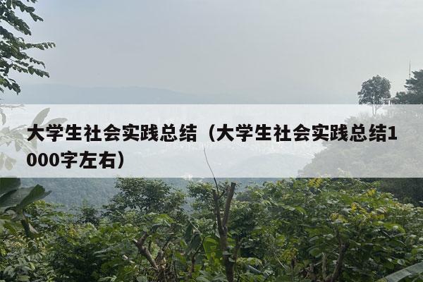 大学生社会实践总结（大学生社会实践总结1000字左右）