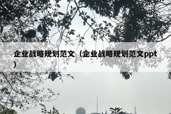 企业战略规划范文（企业战略规划范文ppt）