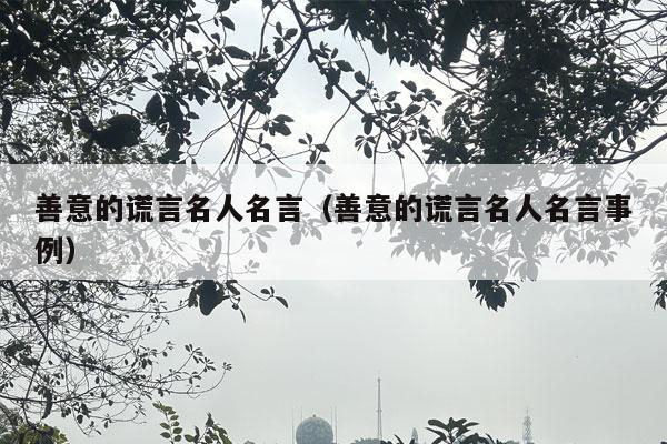 善意的谎言名人名言（善意的谎言名人名言事例）