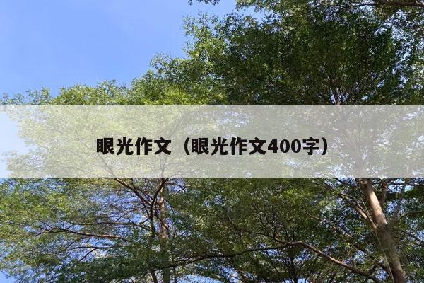 眼光作文（眼光作文400字）