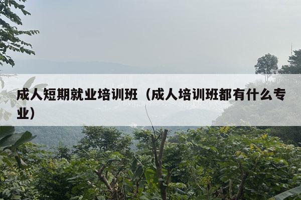 成人短期就业培训班（成人培训班都有什么专业）