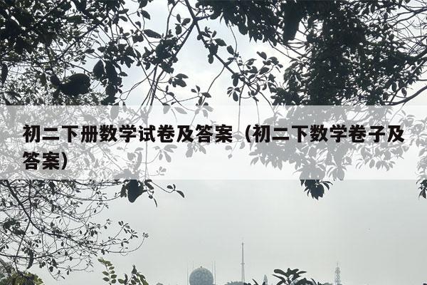 初二下册数学试卷及答案（初二下数学卷子及答案）