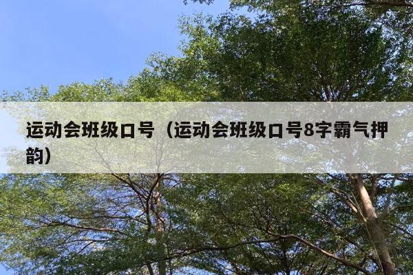 运动会班级口号（运动会班级口号8字霸气押韵）