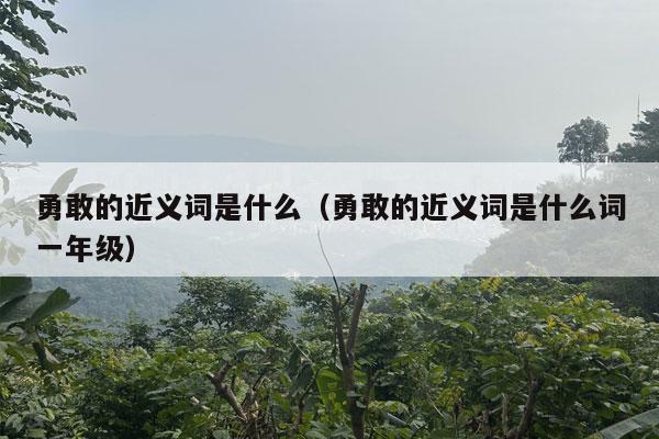 勇敢的近义词是什么（勇敢的近义词是什么词一年级）