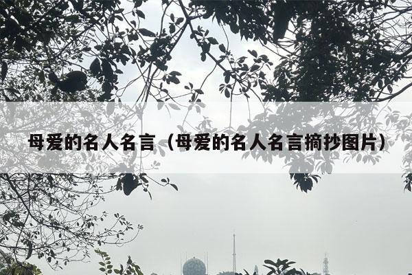 母爱的名人名言（母爱的名人名言摘抄图片）