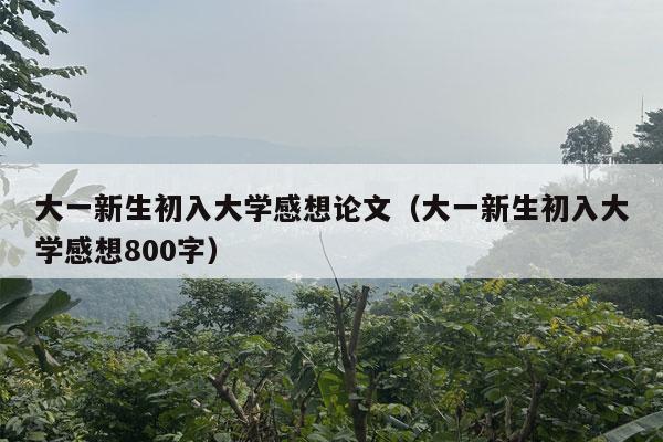 大一新生初入大学感想论文（大一新生初入大学感想800字）