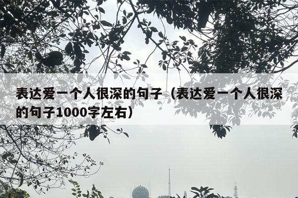 表达爱一个人很深的句子（表达爱一个人很深的句子1000字左右）