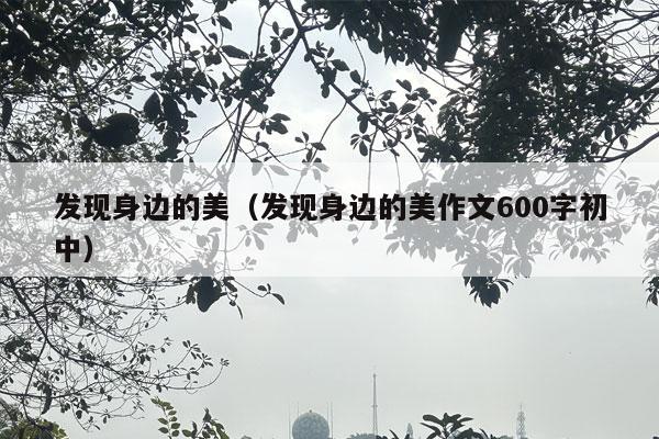 发现身边的美（发现身边的美作文600字初中）