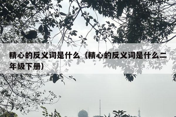 精心的反义词是什么（精心的反义词是什么二年级下册）