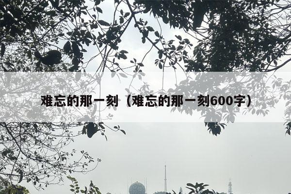 难忘的那一刻（难忘的那一刻600字）