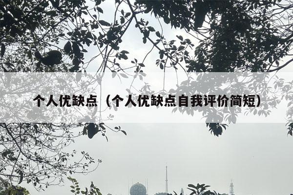 个人优缺点（个人优缺点自我评价简短）