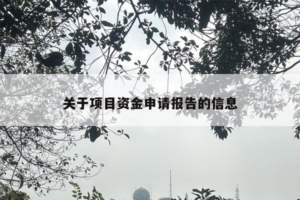 关于项目资金申请报告的信息