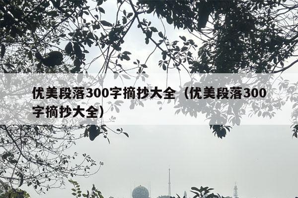 优美段落300字摘抄大全（优美段落300字摘抄大全）