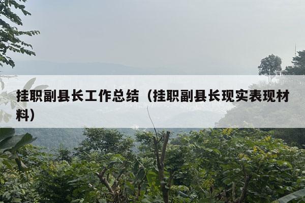 挂职副县长工作总结（挂职副县长现实表现材料）