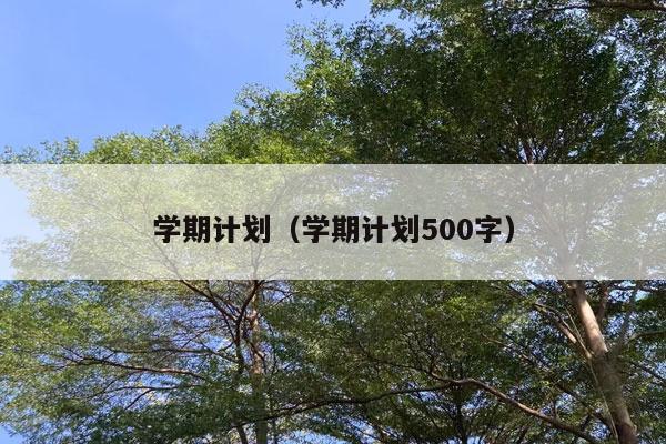 学期计划（学期计划500字）