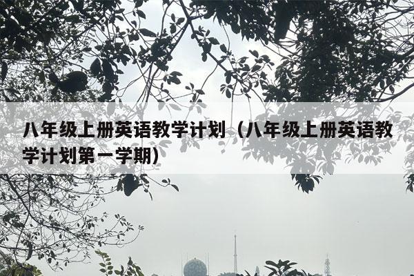 八年级上册英语教学计划（八年级上册英语教学计划第一学期）