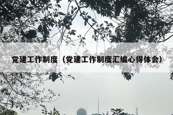 党建工作制度（党建工作制度汇编心得体会）