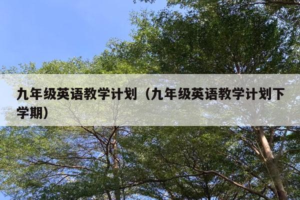 九年级英语教学计划（九年级英语教学计划下学期）