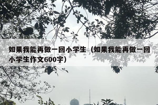 如果我能再做一回小学生（如果我能再做一回小学生作文600字）