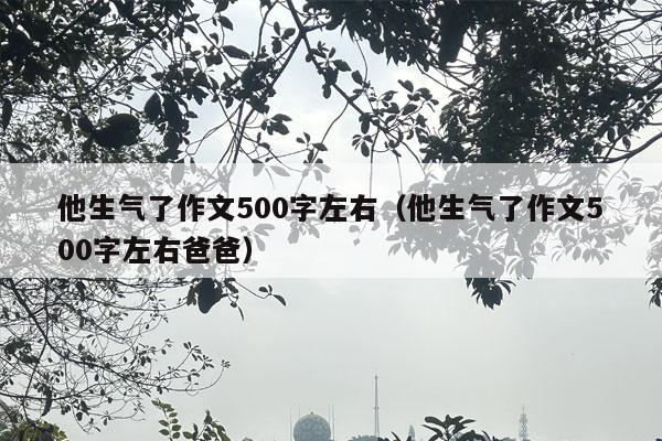 他生气了作文500字左右（他生气了作文500字左右爸爸）