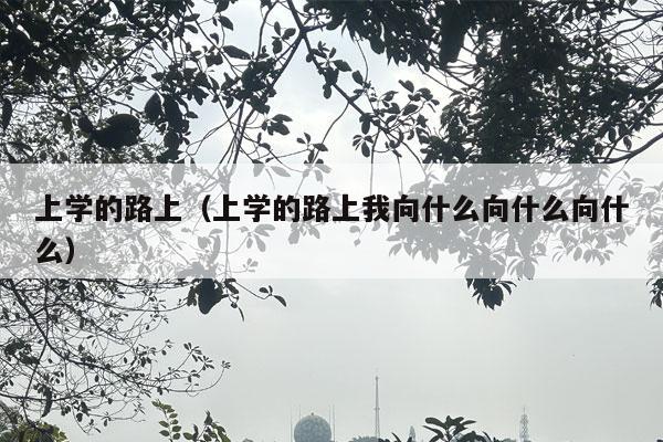 上学的路上（上学的路上我向什么向什么向什么）