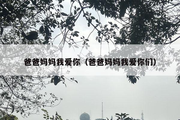 爸爸妈妈我爱你（爸爸妈妈我爱你们）