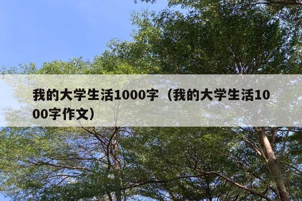 我的大学生活1000字（我的大学生活1000字作文）