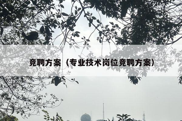 竞聘方案（专业技术岗位竞聘方案）