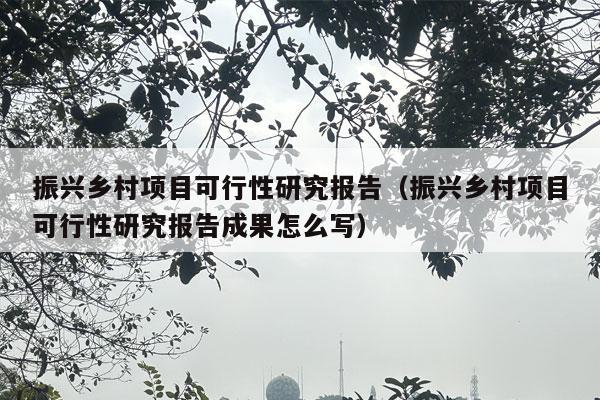 振兴乡村项目可行性研究报告（振兴乡村项目可行性研究报告成果怎么写）