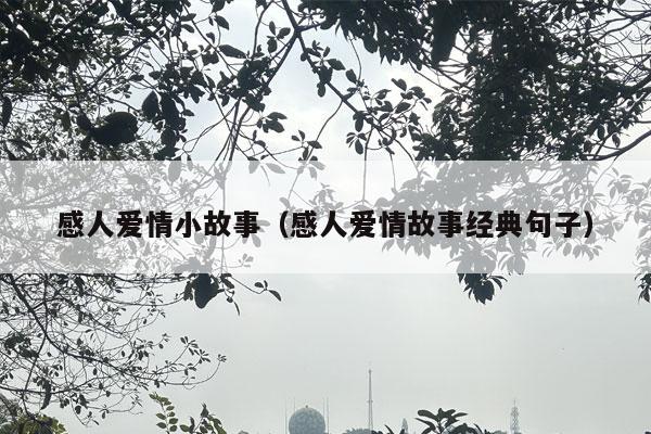 感人爱情小故事（感人爱情故事经典句子）