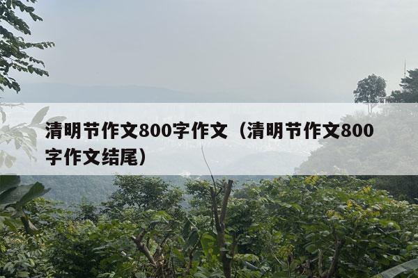 清明节作文800字作文（清明节作文800字作文结尾）