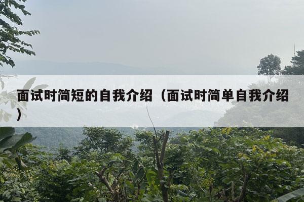 面试时简短的自我介绍（面试时简单自我介绍）