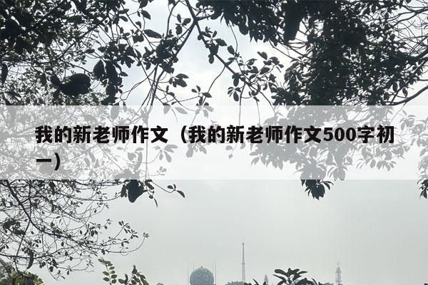 我的新老师作文（我的新老师作文500字初一）