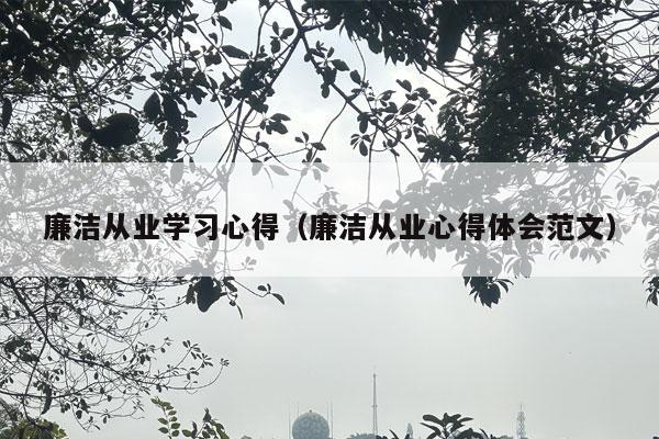 廉洁从业学习心得（廉洁从业心得体会范文）