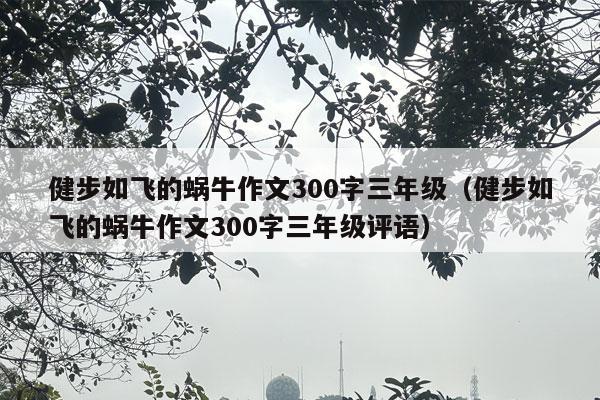 健步如飞的蜗牛作文300字三年级（健步如飞的蜗牛作文300字三年级评语）