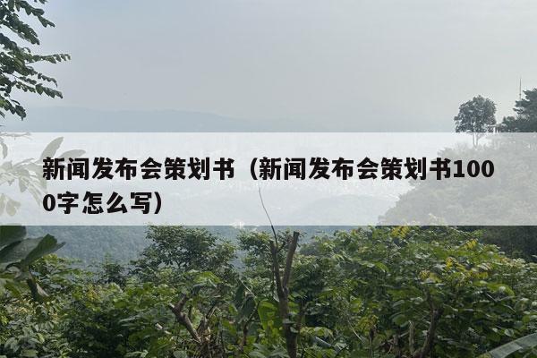 新闻发布会策划书（新闻发布会策划书1000字怎么写）