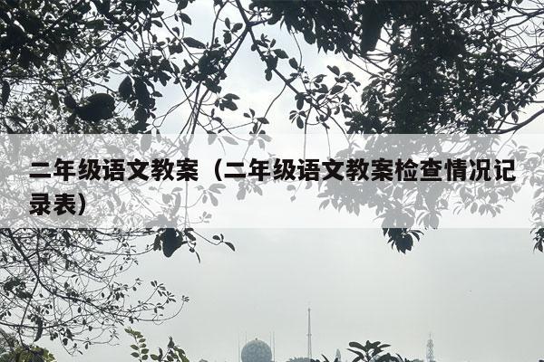 二年级语文教案（二年级语文教案检查情况记录表）